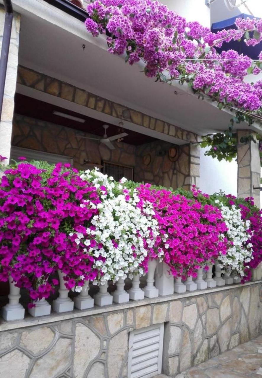 Apartments Dobri - 500M From Beach Нін Екстер'єр фото